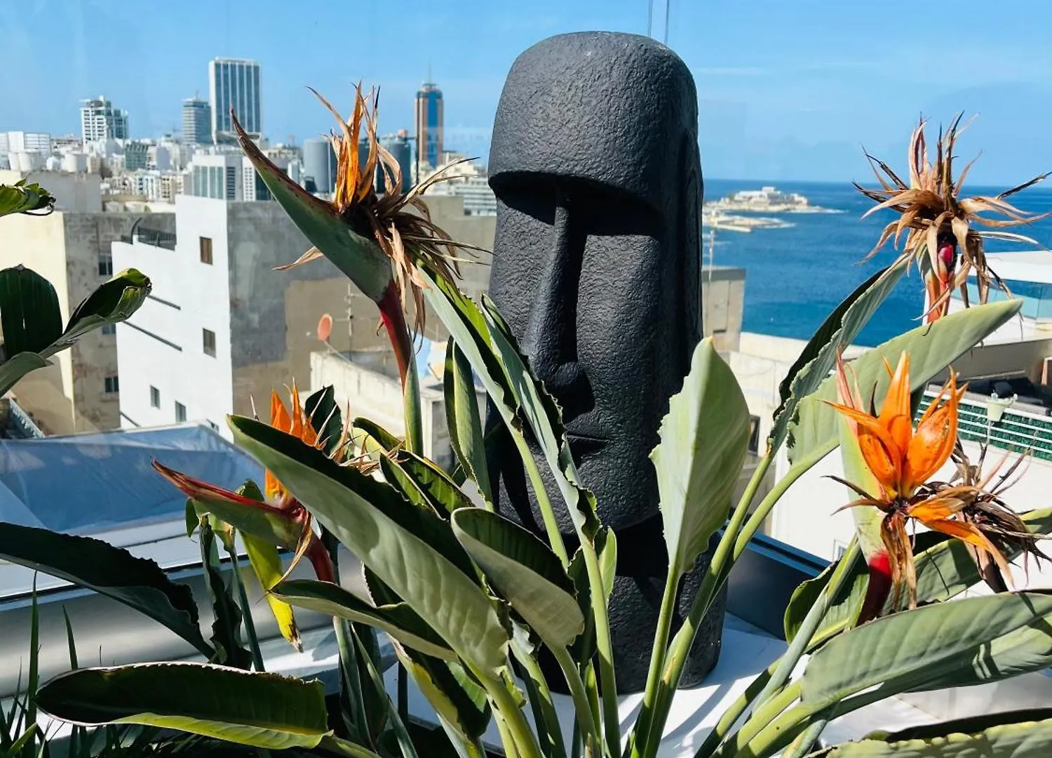 Sliema Studios